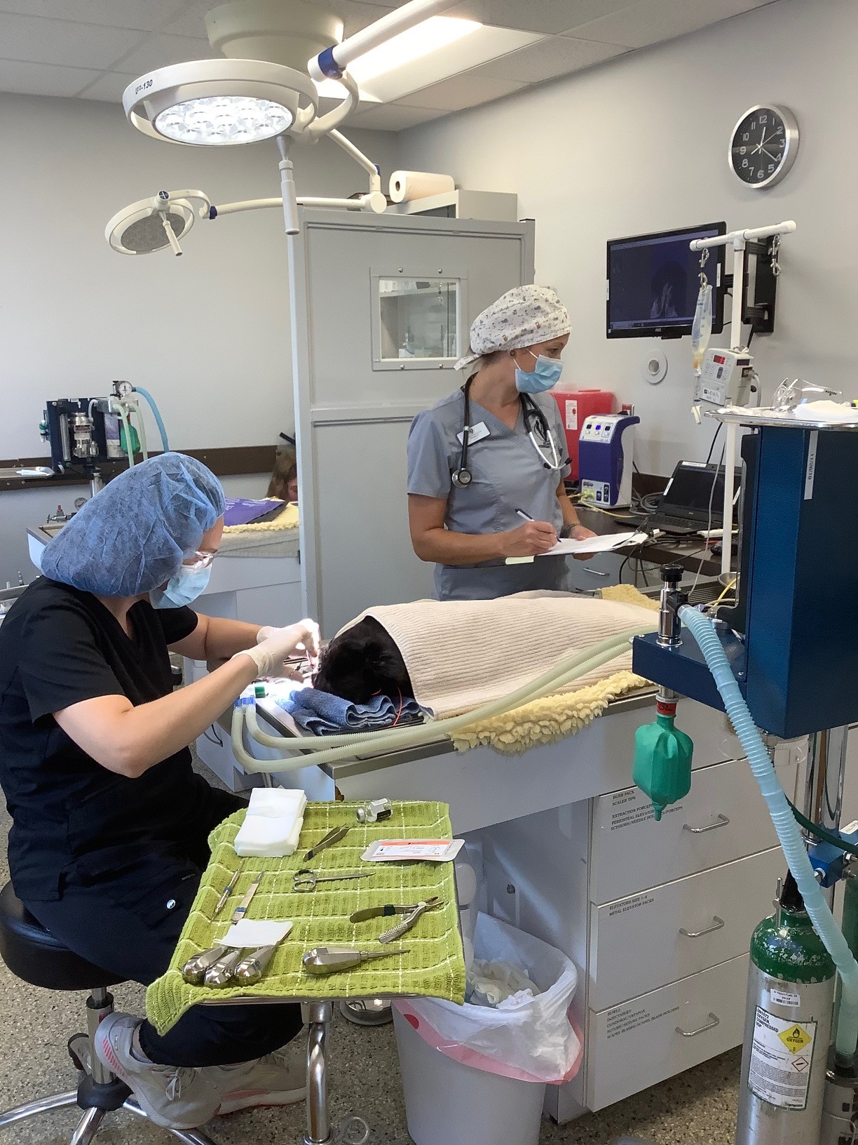 Dental cleaning 1