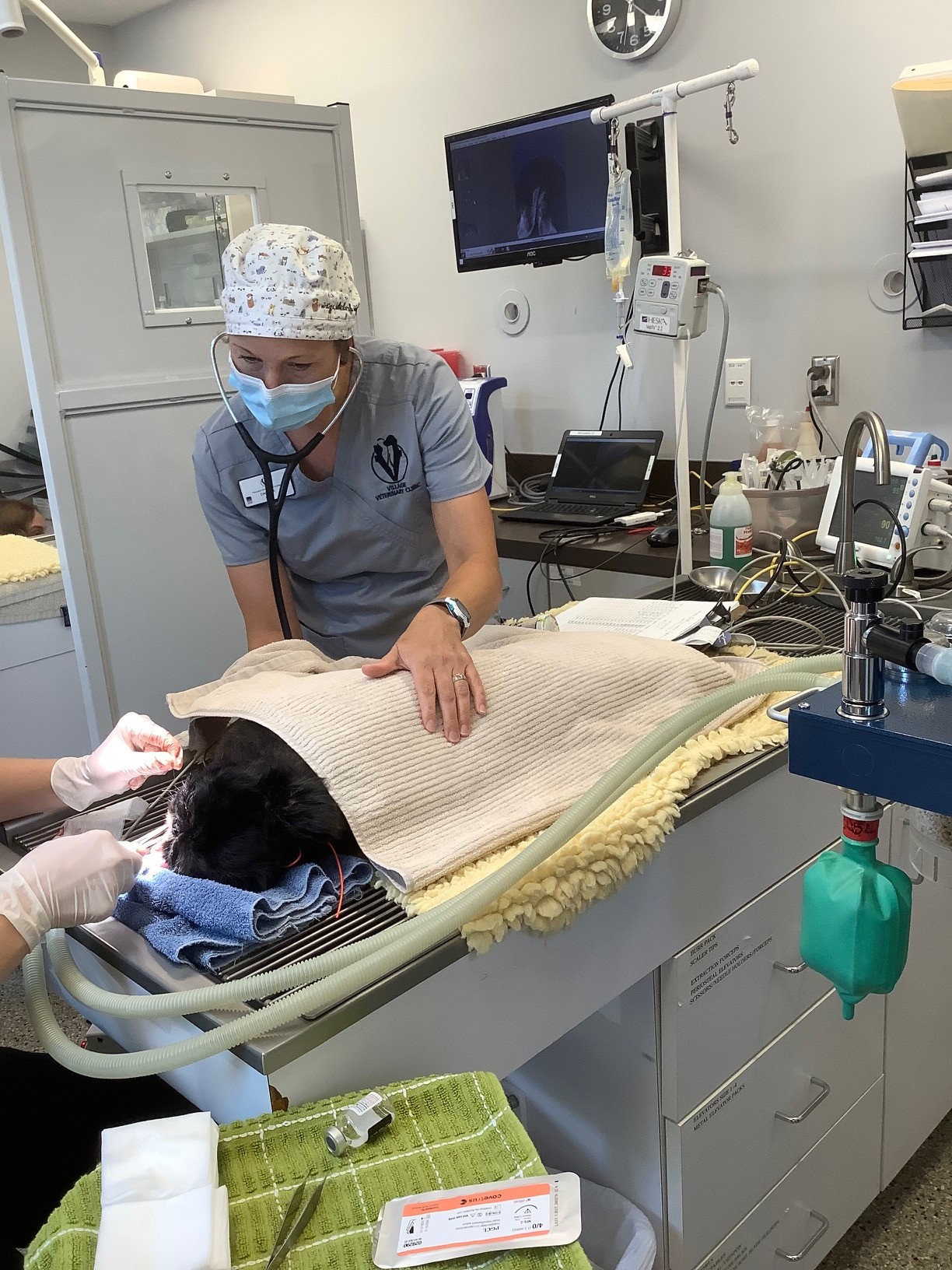 Dental monitoring