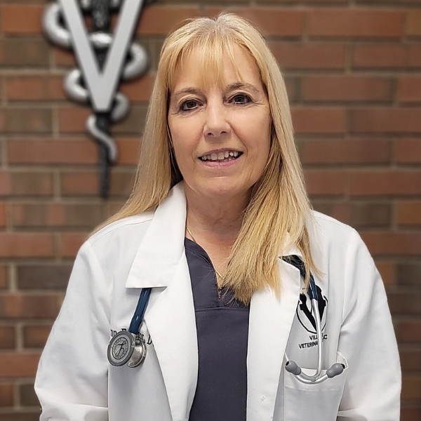 Dr Lynn Proctor Dr Lynn Proctor