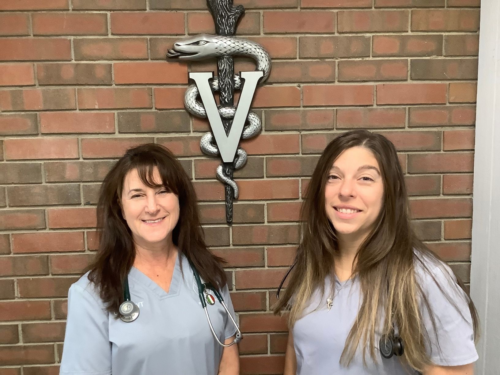 vet nurses at Village Veterinary Clinic