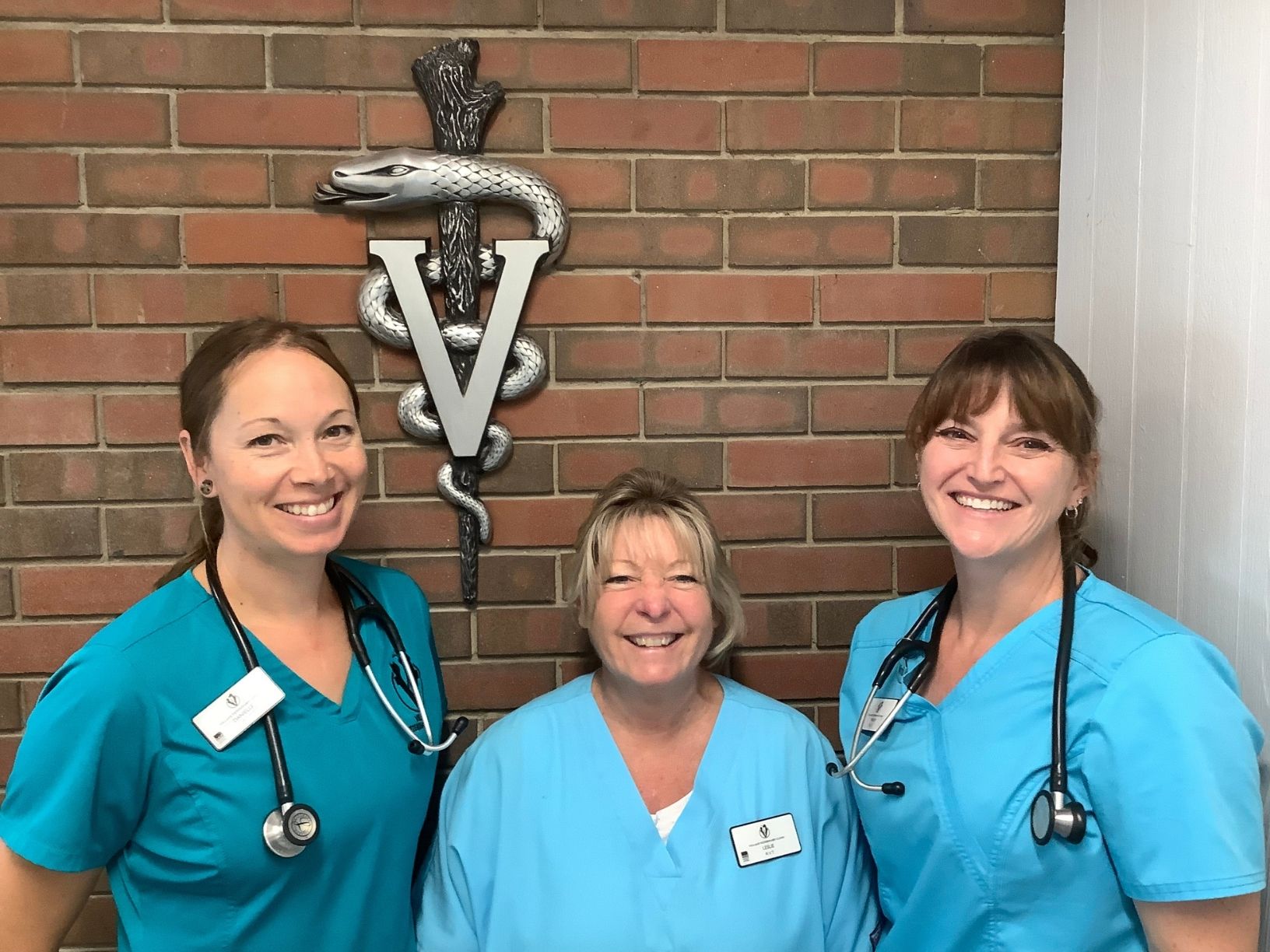 RVTs at Village Veterinary Clinic