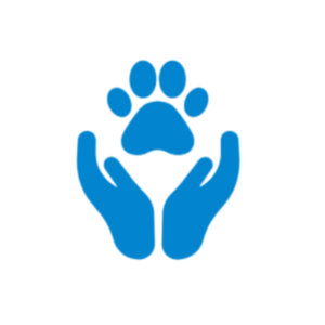 Preventive care icon